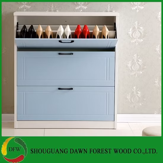 Wood Panel MDF/Particle Board Shoe Cabinet