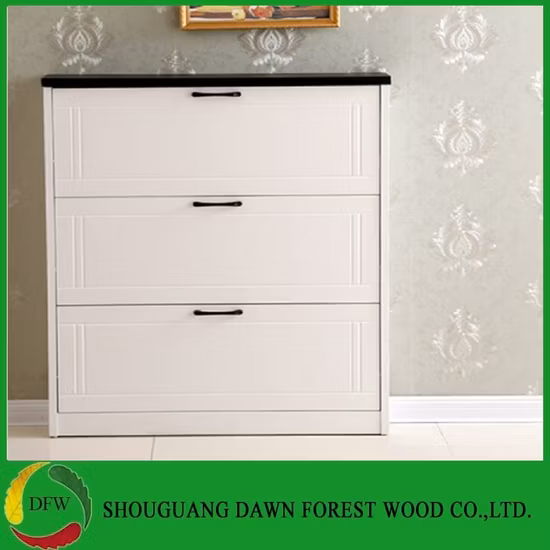 Wood Panel MDF/Particle Board Shoe Cabinet
