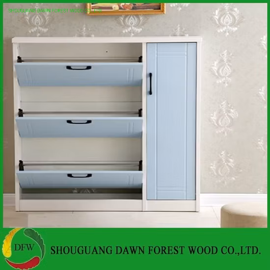 Wood Panel MDF/Particle Board Shoe Cabinet