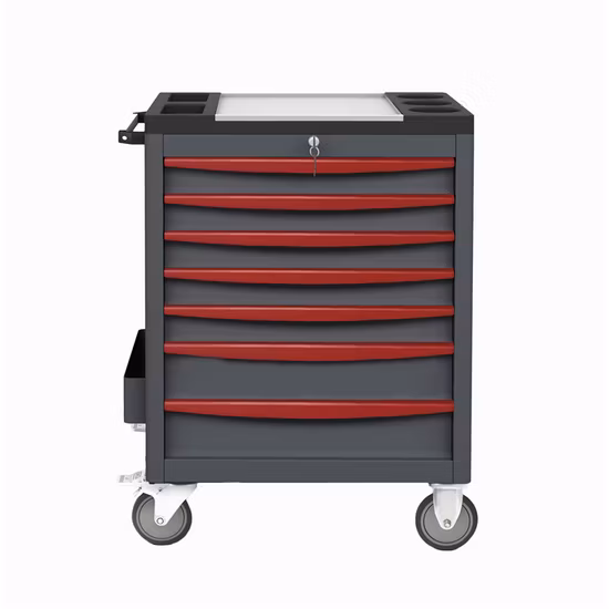 Professional Tool Cabinet Tool Chest with 4 Drawers