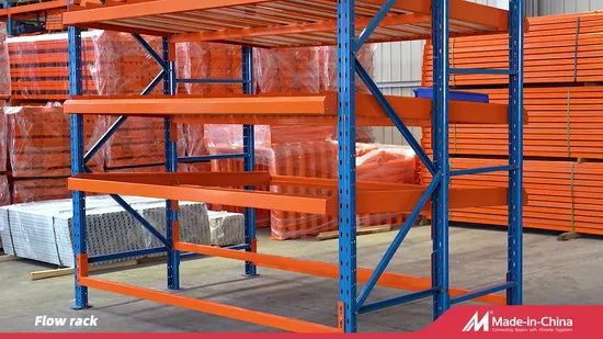 Customized Warehouse Storage Rack Pallet Shelving Gravity Carton Flow Racking 